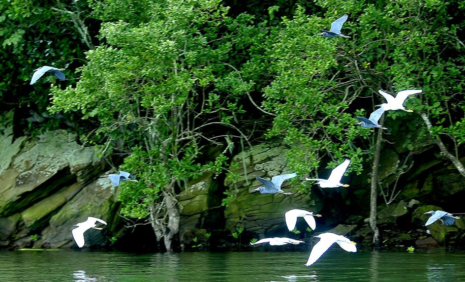 Portos do Paraná são os que mais evoluíram em desempenho ambiental