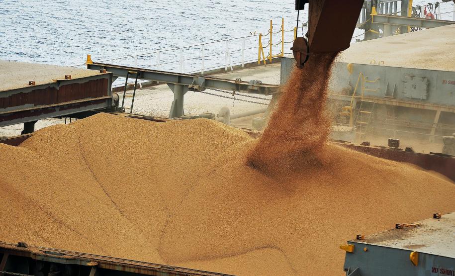 Aumenta participação do agronegócio nas exportações paranaenses Aumenta participação do agronegócio nas exportações paranaenses