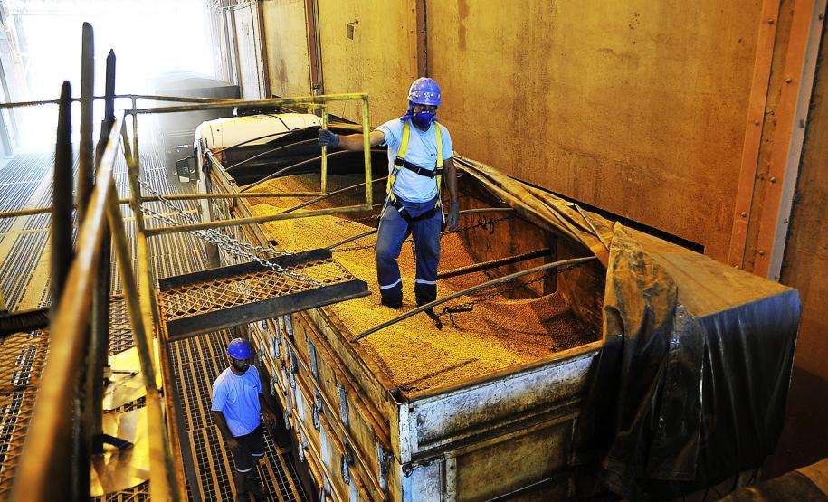 A safra de verão deste ano deve ser recorde e os primeiros sinais já começam a ser sentidos no Porto de Paranaguá. Com a demanda do mercado externo em alta, os embarques de soja pelo porto paranaense fecharam janeiro em alta de 15%. Foram 432 mil toneladas exportadas no primeiro mês de 2017 – 57 mil toneladas a mais do que no mesmo período do ano passado.