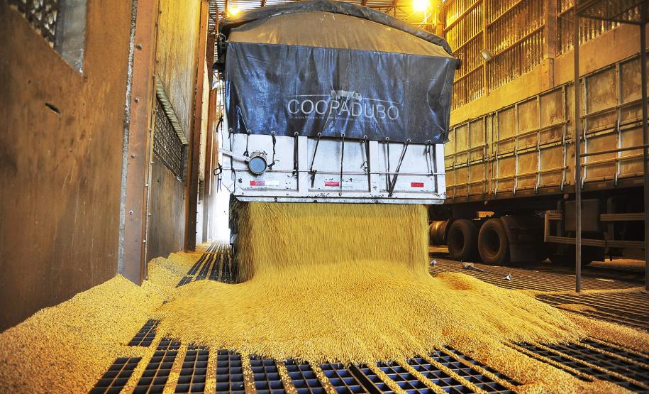 A safra de verão deste ano deve ser recorde e os primeiros sinais já começam a ser sentidos no Porto de Paranaguá. Com a demanda do mercado externo em alta, os embarques de soja pelo porto paranaense fecharam janeiro em alta de 15%. Foram 432 mil toneladas exportadas no primeiro mês de 2017 – 57 mil toneladas a mais do que no mesmo período do ano passado.