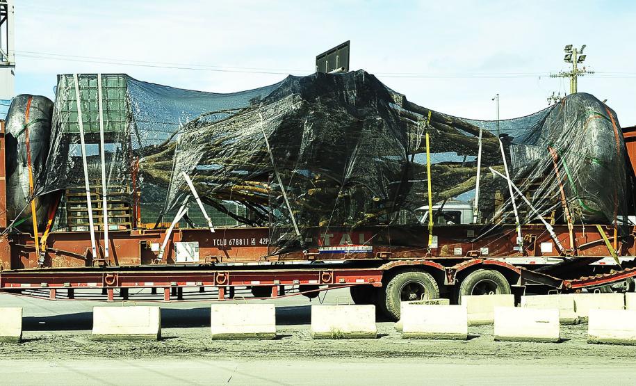 Porto de Paranaguá realiza primeira exportação de jabuticabeiras plantadas