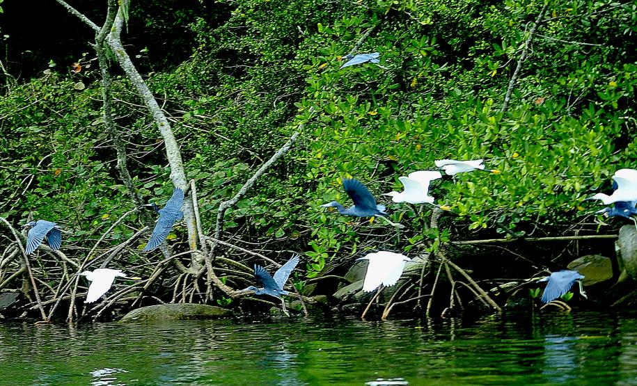 Porto de Paranaguá promove curso sobre sustentabilidade na Gestão Portuária