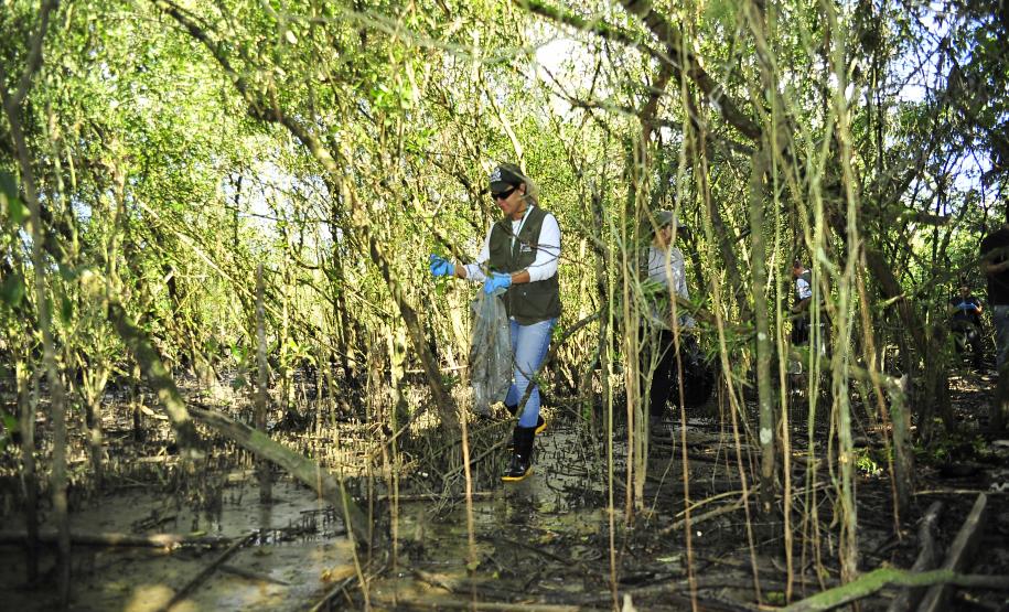 Portos do Paraná investem R$ 67 milhões em meio ambiente