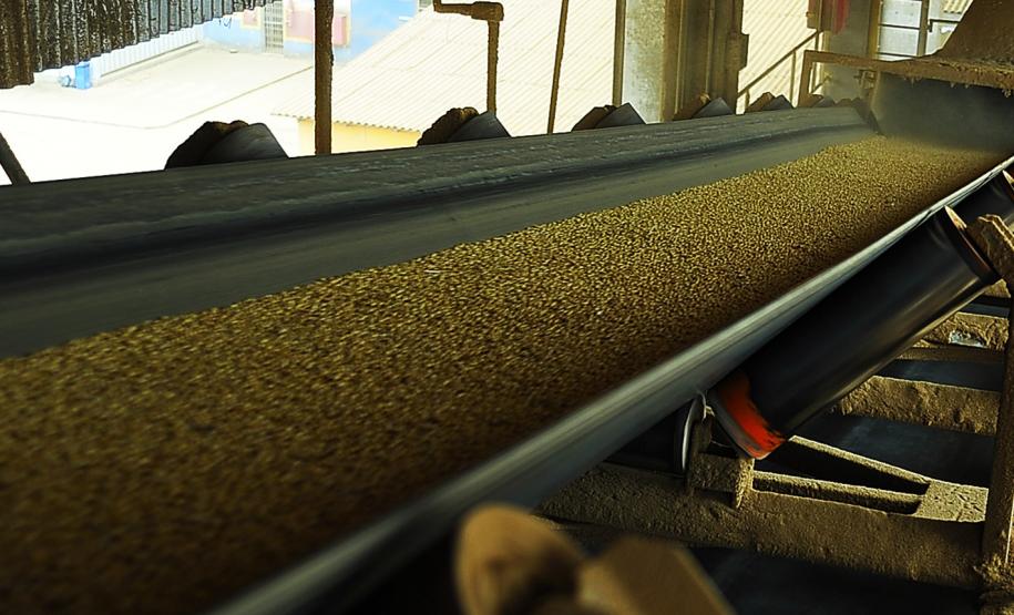 Movimentação de grãos no Corredor de Exportação aumenta 22% em junho