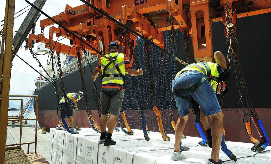 Porto de Paranaguá registra redução de 56% no número de acidentes de trabalho