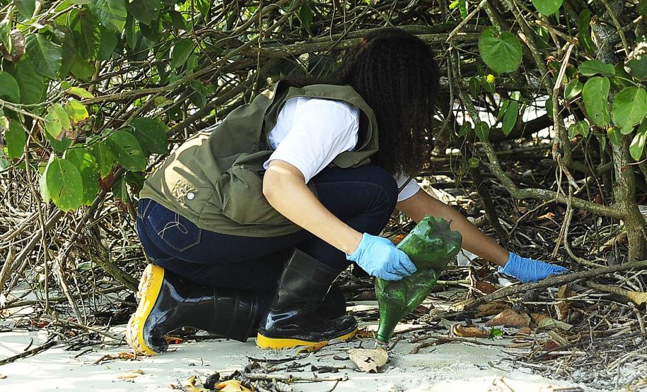 Porto de Paranaguá recolhe 80 quilos de resíduos das áreas de mangue