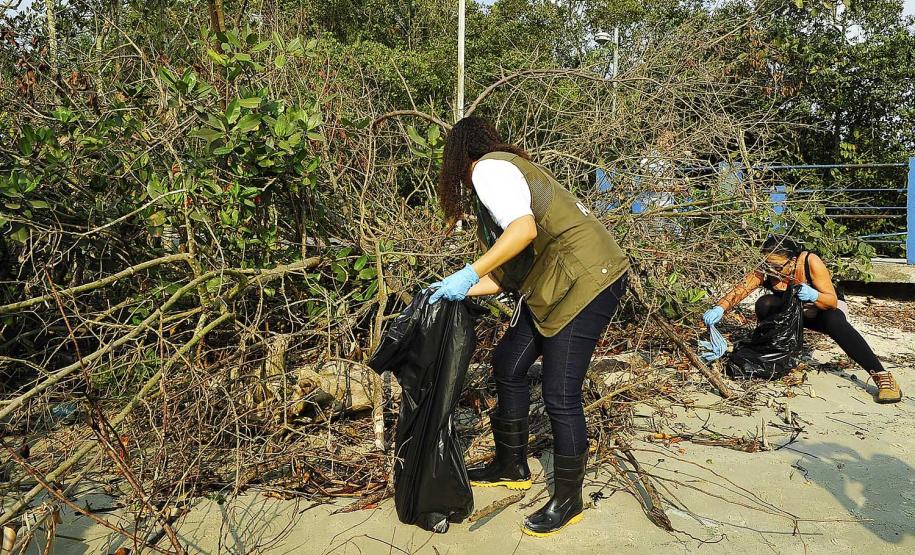 Porto de Paranaguá recolhe 80 quilos de resíduos das áreas de mangue