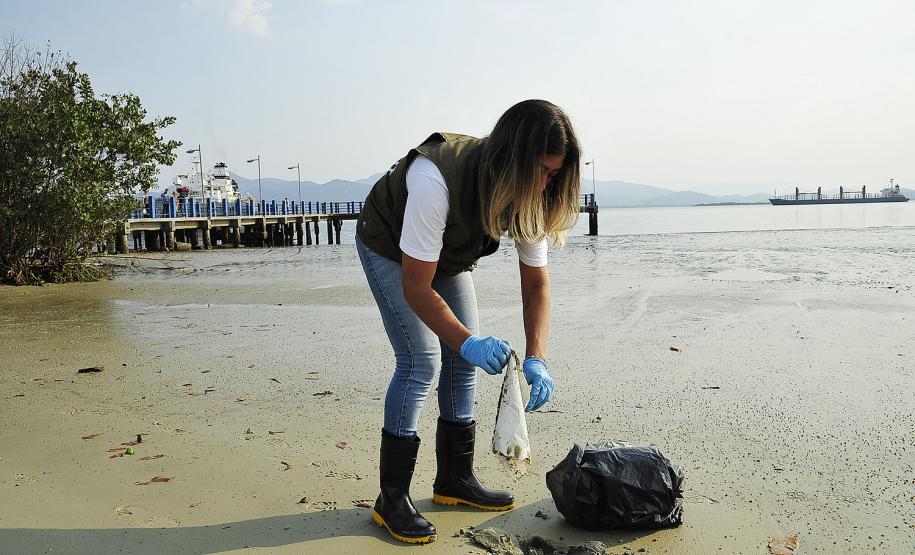 Porto de Paranaguá recolhe 80 quilos de resíduos das áreas de mangue