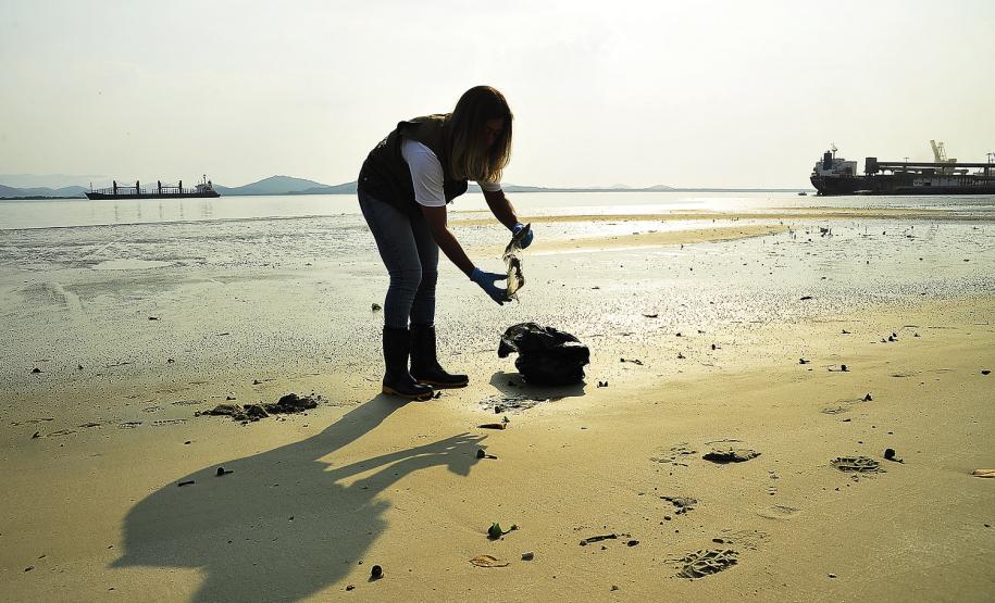 Porto de Paranaguá recolhe 80 quilos de resíduos das áreas de mangue