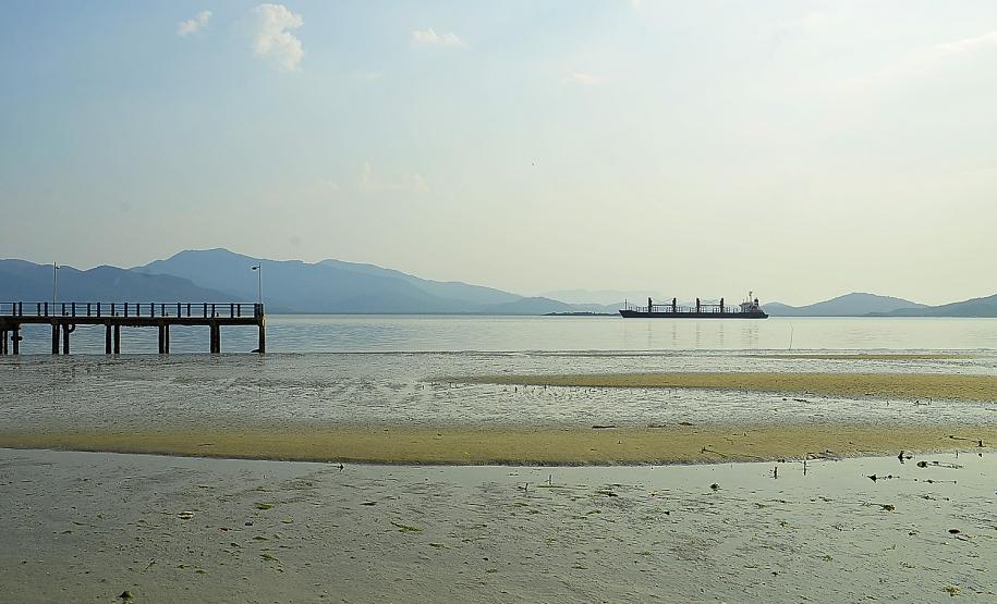 Porto de Paranaguá recolhe 80 quilos de resíduos das áreas de mangue