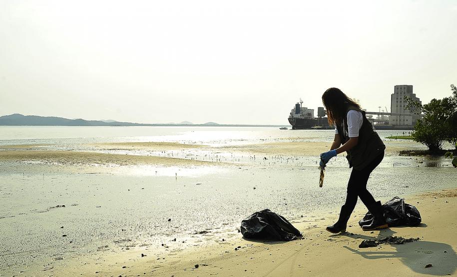 Porto de Paranaguá recolhe 80 quilos de resíduos das áreas de mangue