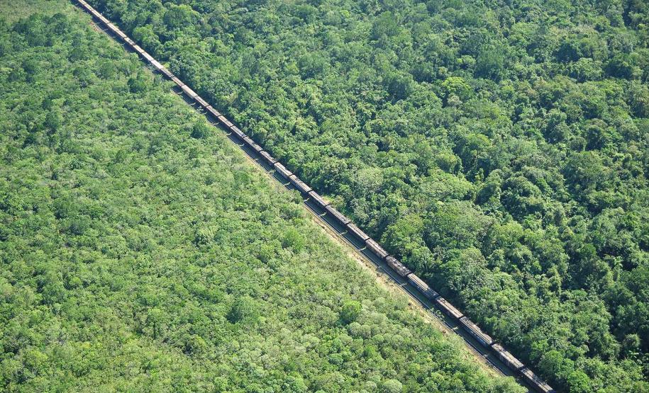 Descarga de grãos via ferrovia quase dobra em Paranaguá