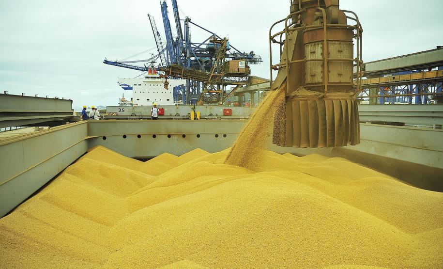 Porto de Paranaguá fecha o mês de agosto com recorde histórico no carregamento de grãos