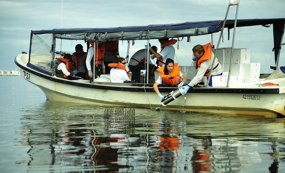 Porto de Paranaguá é o primeiro do Brasil a integrar o processo de certificação ambiental internacional