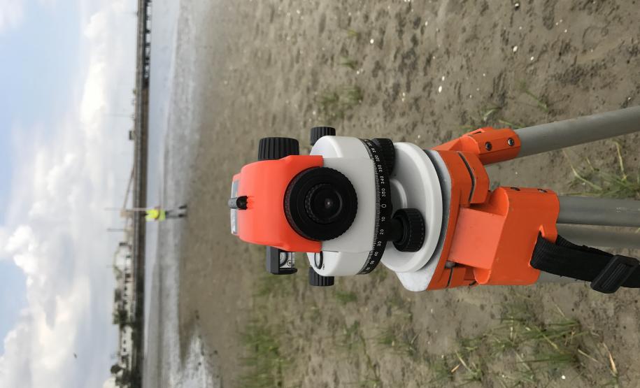 Portos do Paraná monitoram desenvolvimento das árvores nos manguezais