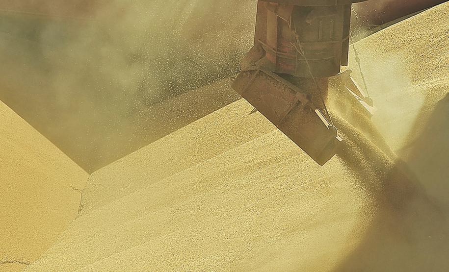 A três meses do final do ano, Porto de Paranaguá já bateu recorde anual de exportação de soja