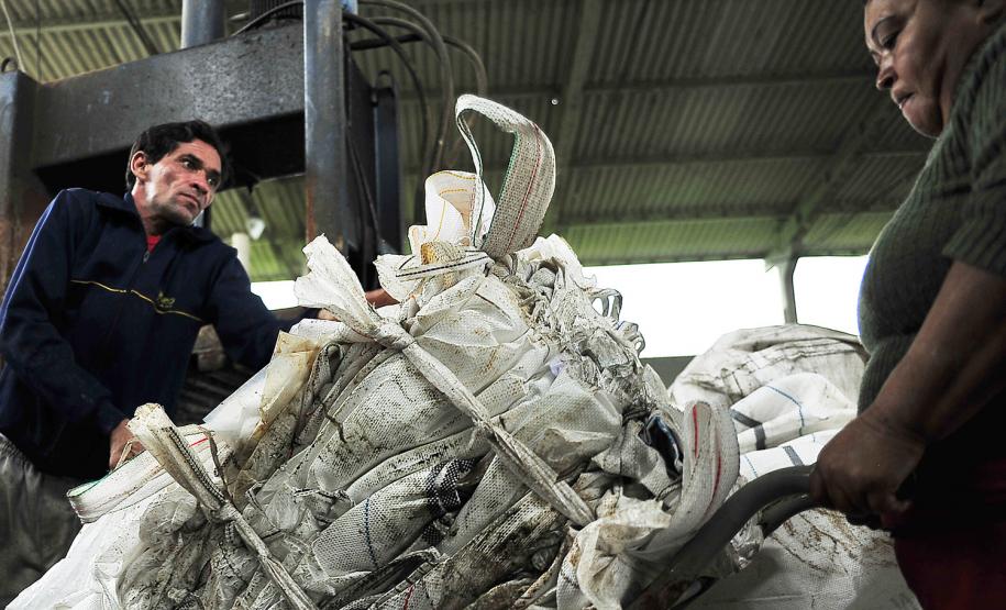 Comunidade Portuária reforça ações de combate à dengue