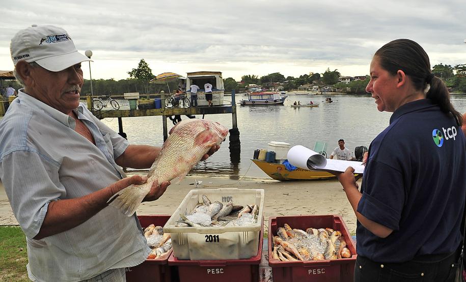 Monitoramento de pesca da Appa contabiliza 400 toneladas de pescados desembarcados em 2017