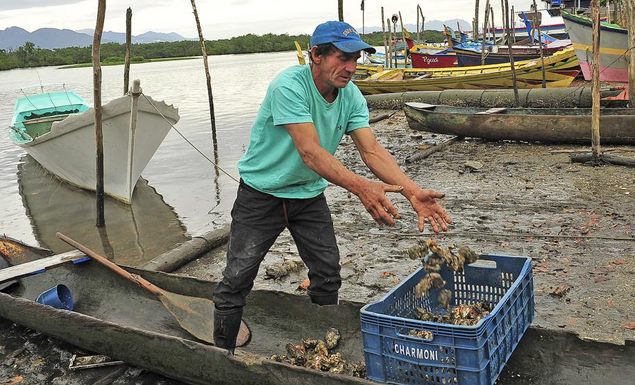 Monitoramento de pesca da Appa contabiliza 400 toneladas de pescados desembarcados em 2017