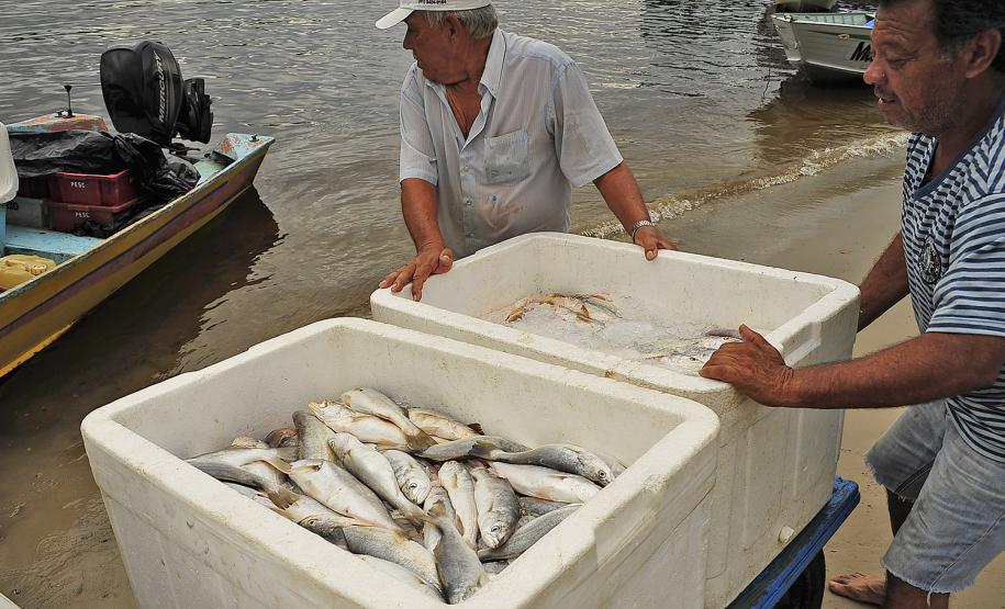 Monitoramento de pesca da Appa contabiliza 400 toneladas de pescados desembarcados em 2017