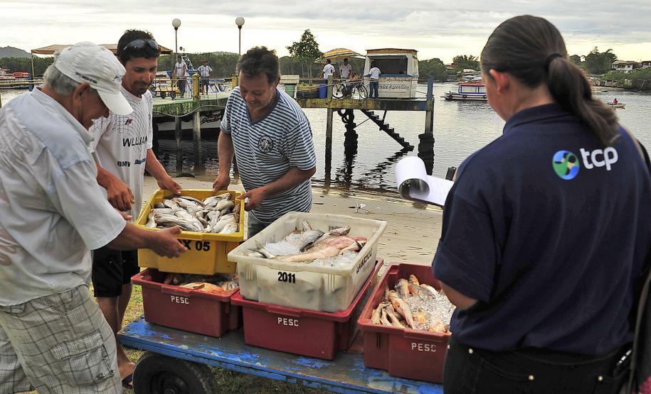 Monitoramento de pesca da Appa contabiliza 400 toneladas de pescados desembarcados em 2017
