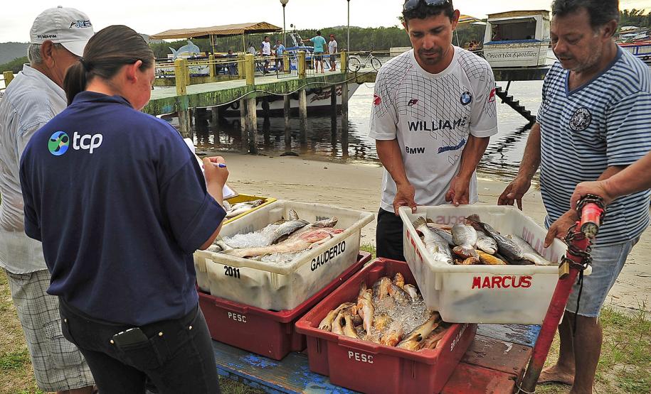 Monitoramento de pesca da Appa contabiliza 400 toneladas de pescados desembarcados em 2017