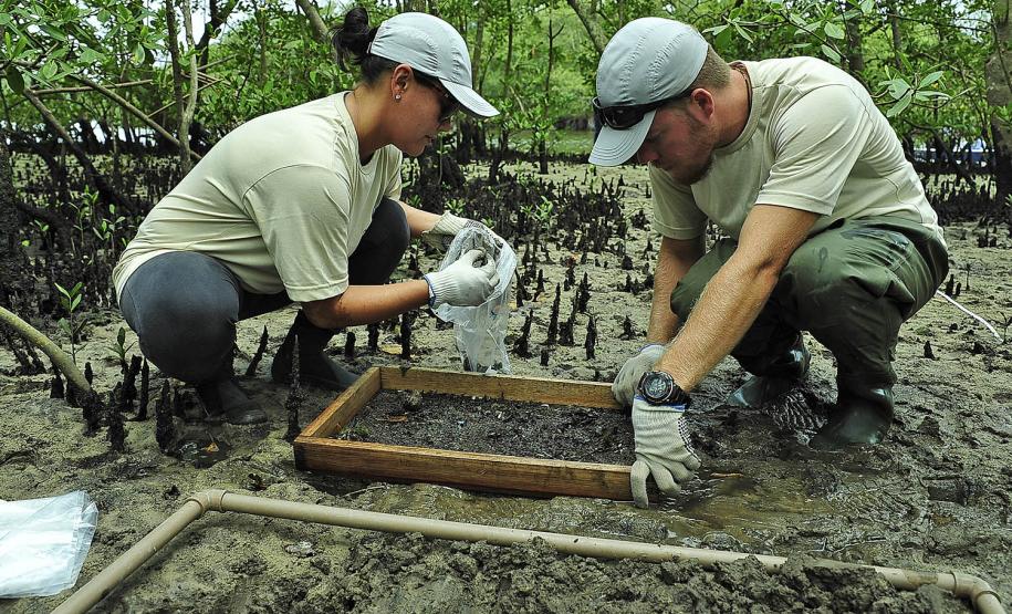 Appa monitora mais de 20 espécies de siris e caranguejos nos arredores dos Portos do Paraná