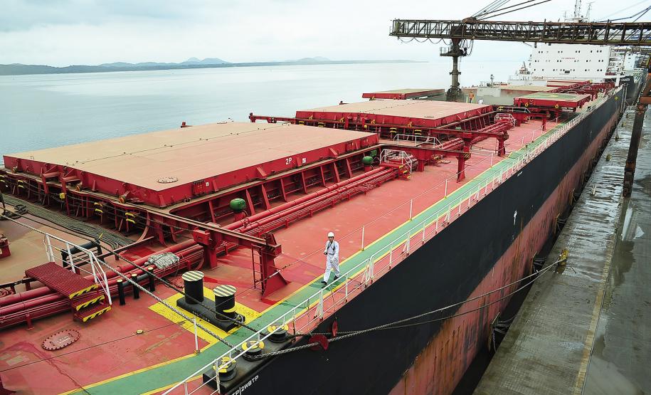 Porto de Paranaguá recebe o maior navio graneleiro da história