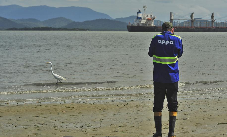Na Semana do Meio Ambiente, Porto de Paranaguá comemora a marca de 58 mil ações de monitoramento ambiental