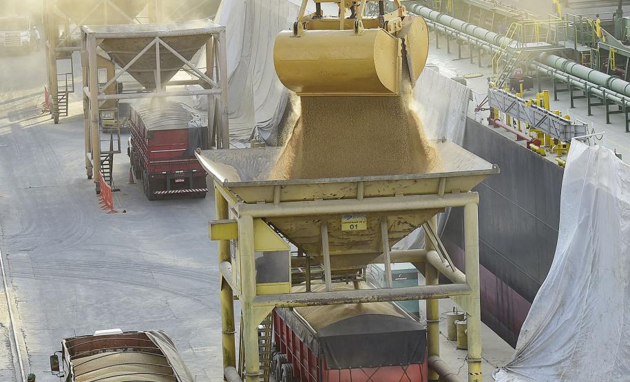 Foram descarregadas 41.305 mil toneladas de cevada e fertilizante entre às 7h da manhã de 19 de junho e às 7h do dia 20.