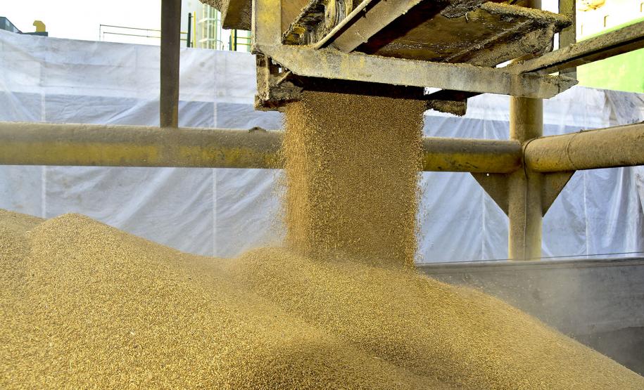 Foram descarregadas 41.305 mil toneladas de cevada e fertilizante entre às 7h da manhã de 19 de junho e às 7h do dia 20.