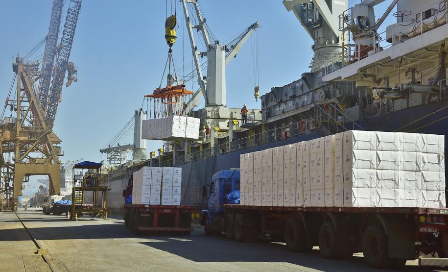 Empresa, maior produtora e exportadora de papéis do Brasil, escolheu o porto paranaense para realizar a movimentação de celulose e derivados. Desde 2016, quando começou a operar no Estado, foram 1.779.796 toneladas transportadas.