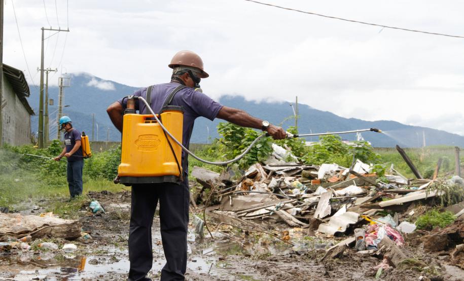 Comunidade Portuária planeja ações de combate à Dengue