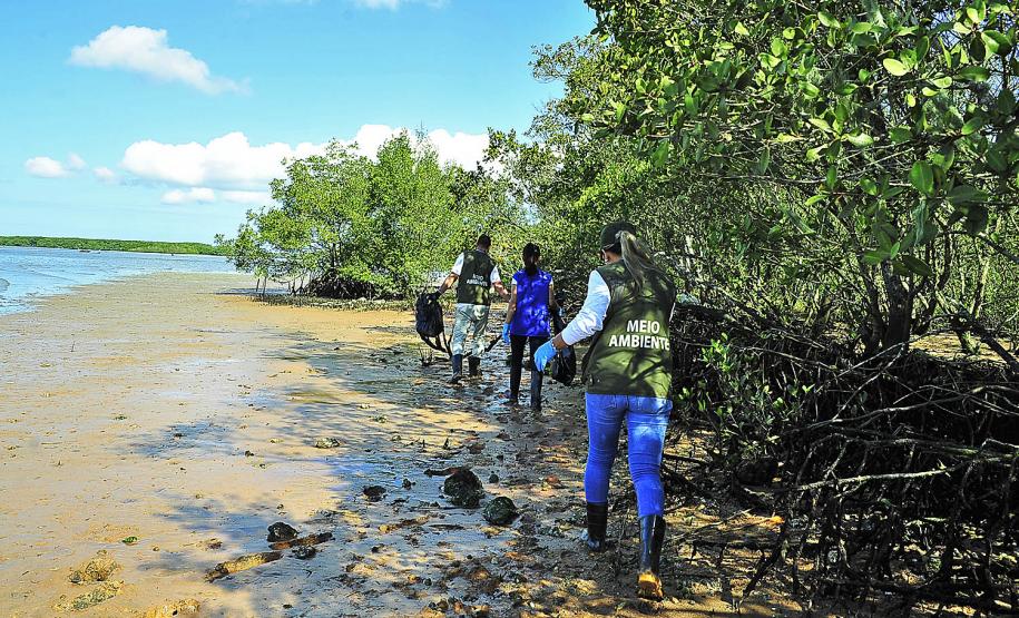 Volume de resíduos coletados entre janeiro e setembro de 2018 já é 560% maior do que o total coletado em 2017.