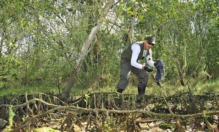 Volume de resíduos coletados entre janeiro e setembro de 2018 já é 560% maior do que o total coletado em 2017.