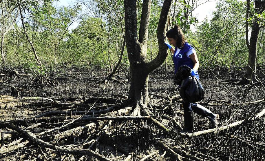 Volume de resíduos coletados entre janeiro e setembro de 2018 já é 560% maior do que o total coletado em 2017.