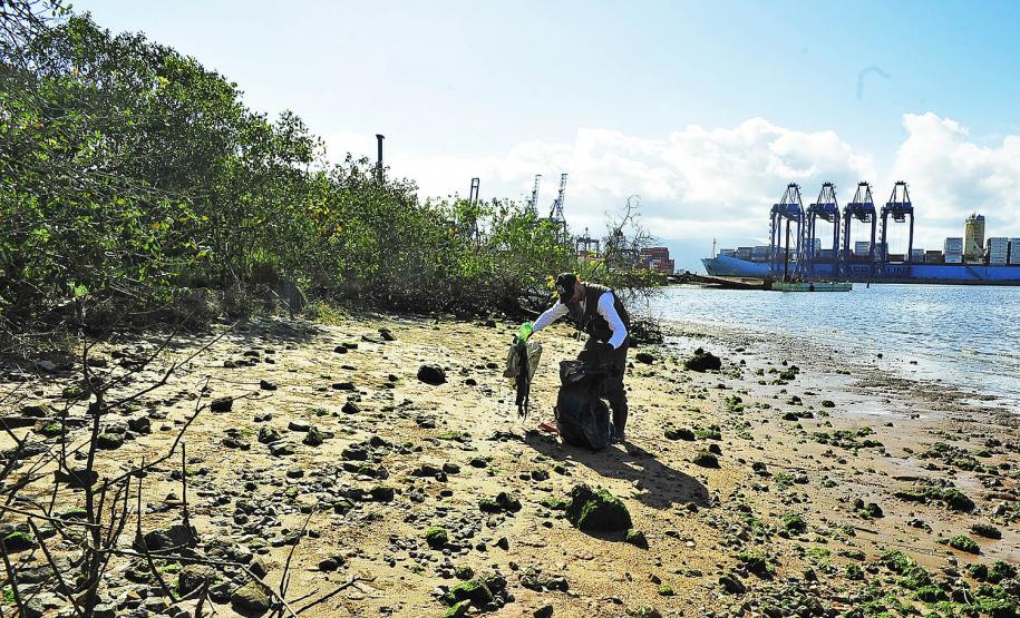 Volume de resíduos coletados entre janeiro e setembro de 2018 já é 560% maior do que o total coletado em 2017.
