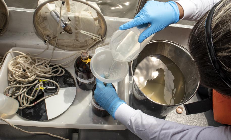 Appa monitora água, sedimentos e biota aquática As amostras coletadas de água e sedimentos agora seguem para análise.