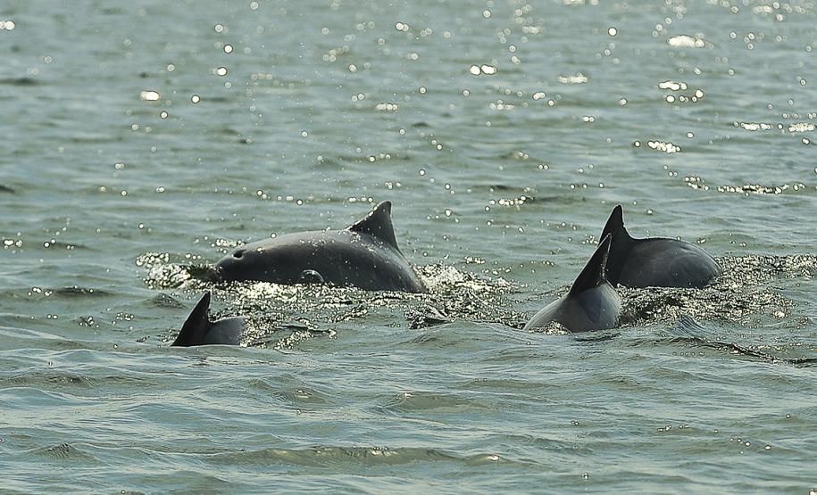 Equipe de Meio Ambiente da Administração dos Portos do Paraná participa do 25º Cooperaportos. Evento reúne profissionais de gestão ambiental dos portos do país. POrto de Paranaguá é referência em Gestão Ambiental.