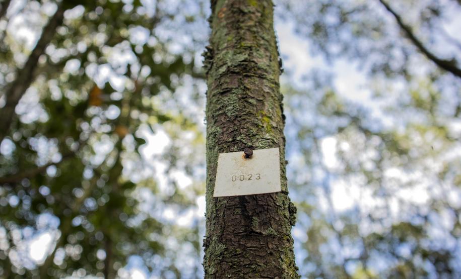 Ao longo desta semana, uma equipe de técnicos dos Portos do Paraná trabalhará na análise dos dados coletados.