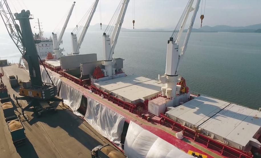 Para atendera demanda, terminal investe na qualidade dos armazéns e em alto padrão de controle sanitário. Meta é carregar até 350 mil toneladas do produto em 2019