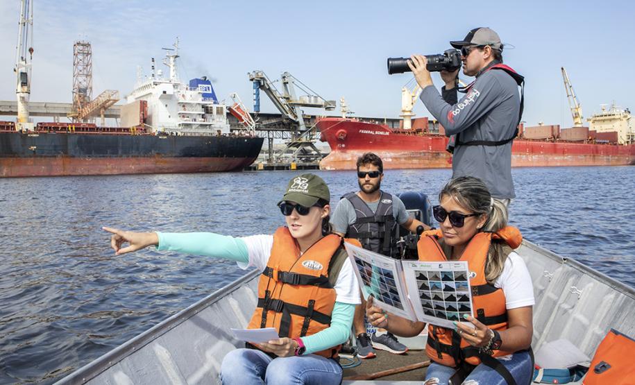 A cada três meses, um especialista contratado pela Administração dos Portos do Paraná passa seis dias monitorando os botos-cinza, golfinhos, que vivem na região. Na área interna, de Pontal a Antonina, são quase cem quilômetros percorridos para acompanhar os animais, que se deslocam e pescam em grupos no entorno dos portos de Paranaguá e Antonina.