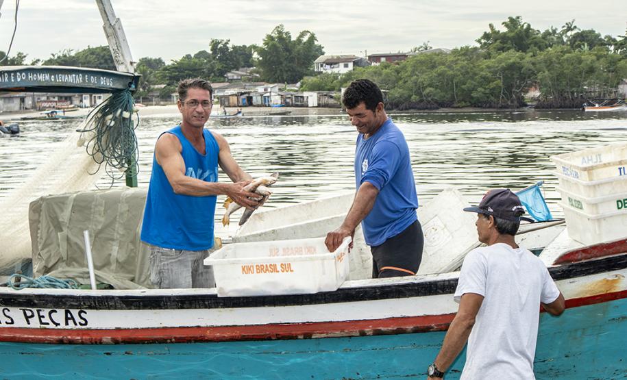 A Diretoria de Meio Ambiente da Administração dos Portos do Paraná convoca os pescadores de Paranaguá, Pontal do Sul, Antonina e Guaraqueçaba para participar dos Seminários da Pesca que começam já na próxima semana. Durante os encontros, os profissionais receberão uma devolutiva com os resultados de quatro anos de monitoramento atividade na região.