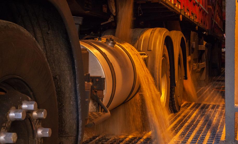 19% das exportações da soja brasileira passa pelos Portos do Paraná