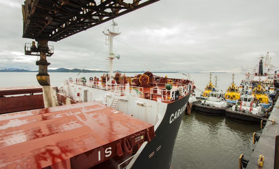 Um único navio – o Caravos Glory, das Ilhas Marschall (Oceania) – levará uma carga de 58.175 toneladas para o Oriente Médio. A média dos carregamentos no local, o berço 204, geralmente fica entre 40 e 45 mil toneladas. A operação encerra nesta segunda-feira (03).