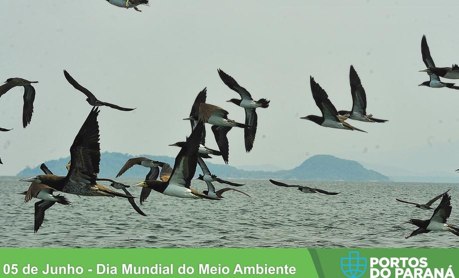 Portos destacam qualidade do ar na Semana do Meio Ambiente