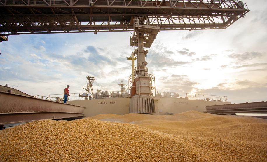 Fechamento maio As exportações de milho pelo Porto de Paranaguá, entre janeiro e maio de 2019, já superam o volume registrado em todo o ano de 2018. Números divulgados pelos Portos do Paraná, nesta segunda-feira (10), mostram que nos primeiros cinco meses deste ano foram 1,4 milhão de toneladas exportadas. Nos doze meses de 2018 foram 1,09 milhão de toneladas.