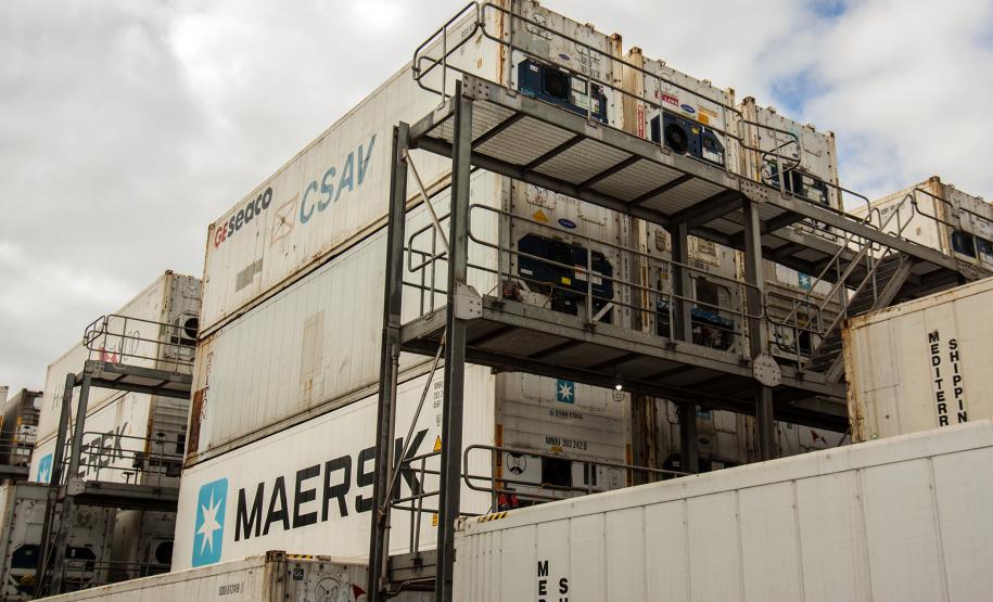 De janeiro a maio, as vendas de frango congelado brasileiro somaram 1,6 milhão de toneladas. Deste total, 637,6 mil toneladas foram movimentadas no porto paranaense. Estado se mantém como o principal exportador do produto nacional.