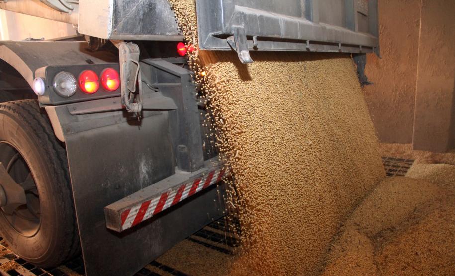 A missão formada por auditores do Serviço de Alimentos e Veterinária da entidade está conhecendo o sistema brasileiro de recebimento, classificação, armazenagem e exportação de matérias primas para uso na alimentação animal, em especial soja e milho. Com as impressões coletadas, o grupo vai produzir um relatório que será entregue ao Ministério da Agricultura.