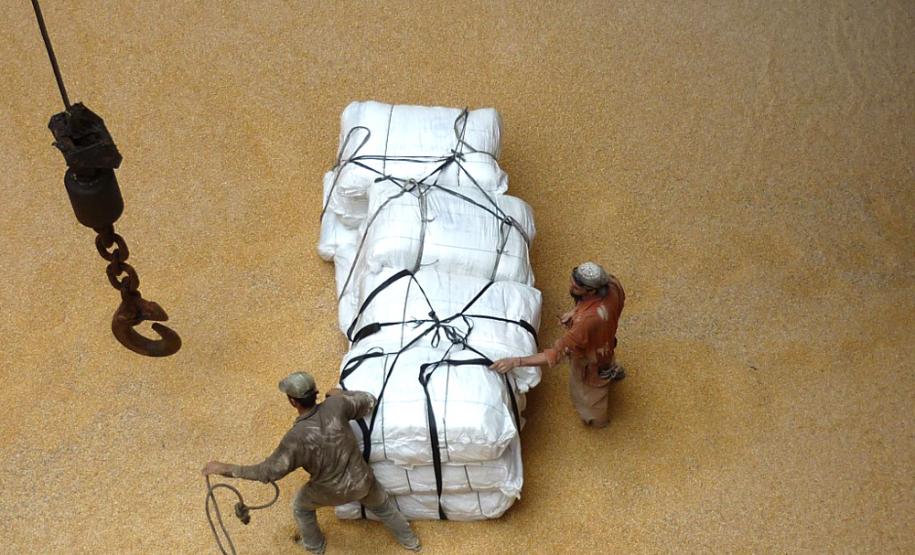 Doações humanitárias são embarcadas pelo Porto de Paranaguá Além do milho, estão sendo doados grandes bolsões (big bags) para viabilizar o desembarque destas mercadorias, uma vez que os portos que receberão os grãos não possuem equipamentos adequados de desembarque. Os sindicatos dos Estivadores e Arrumadores também não cobraram a operação destas mercadorias.